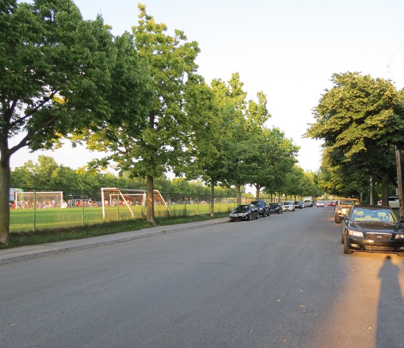road.jpg