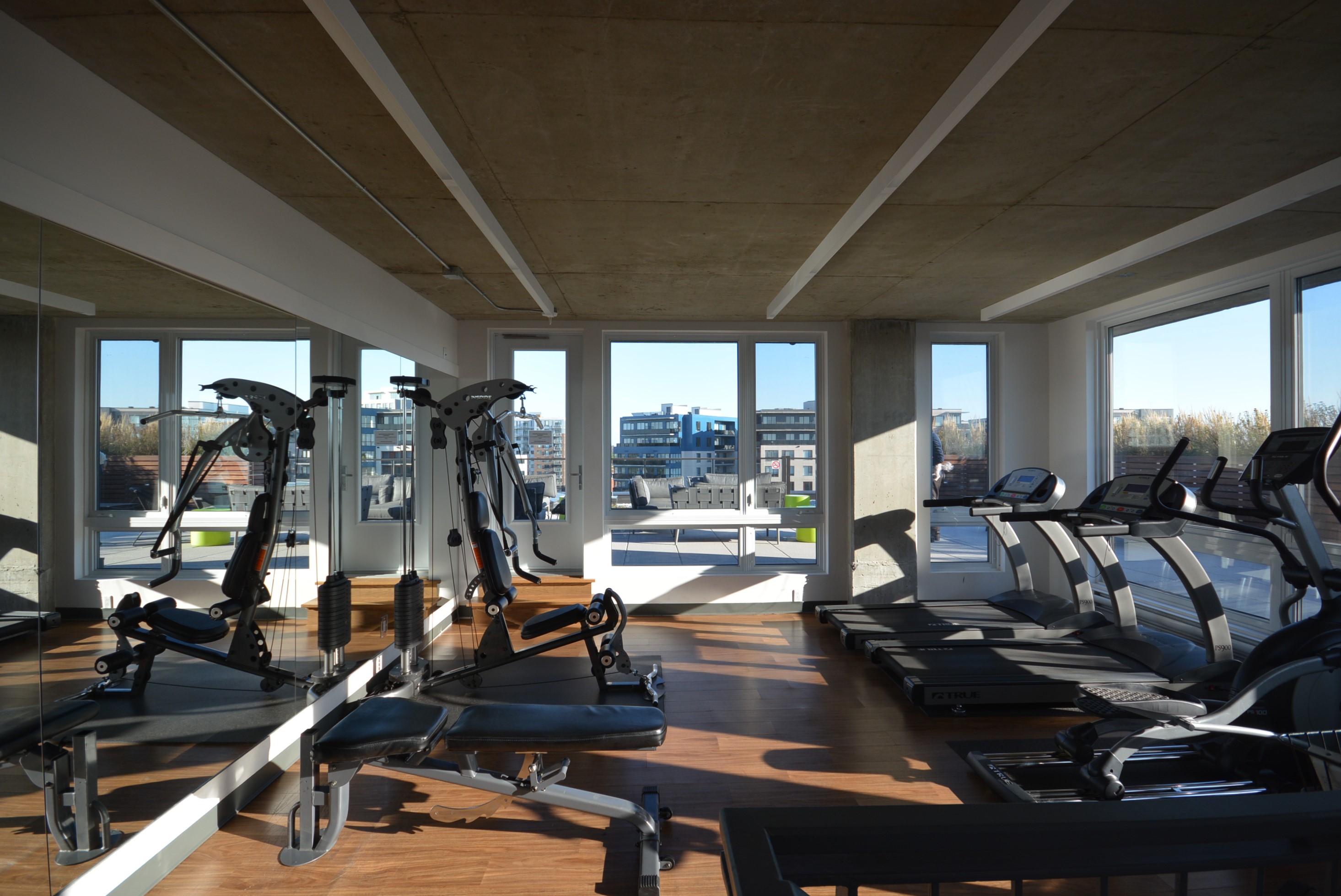 Gym.jpg
